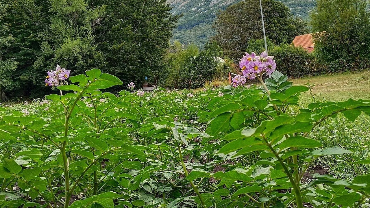 Photo of Others in Vrbanje