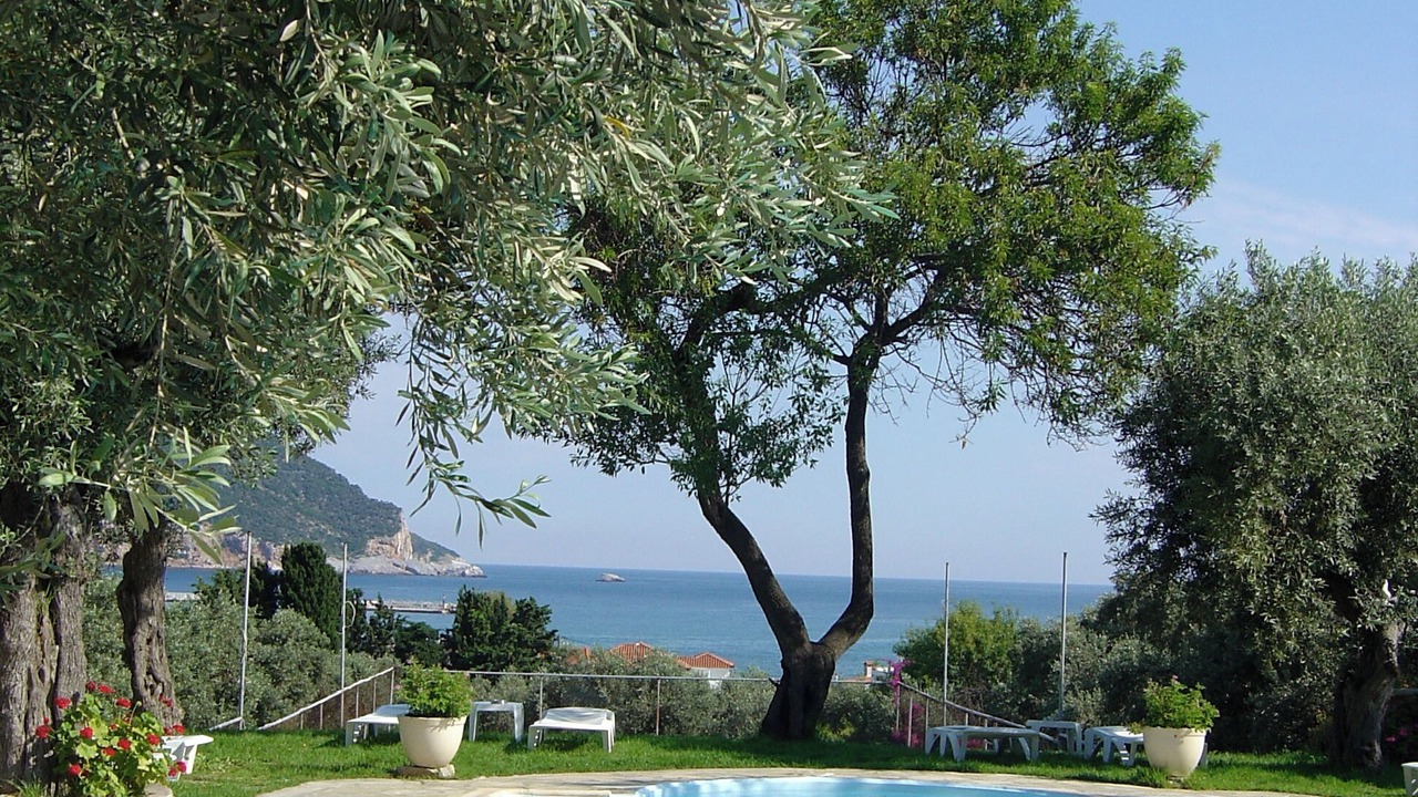 Photo of Outdoor in Skopelos Town