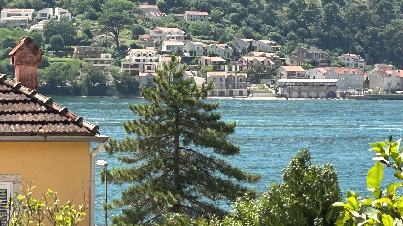 Photo of Others in Kotor