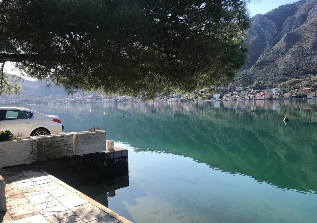 Photo of Others in Kotor