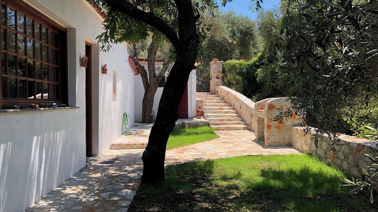 Photo of Outdoor in Skopelos Town