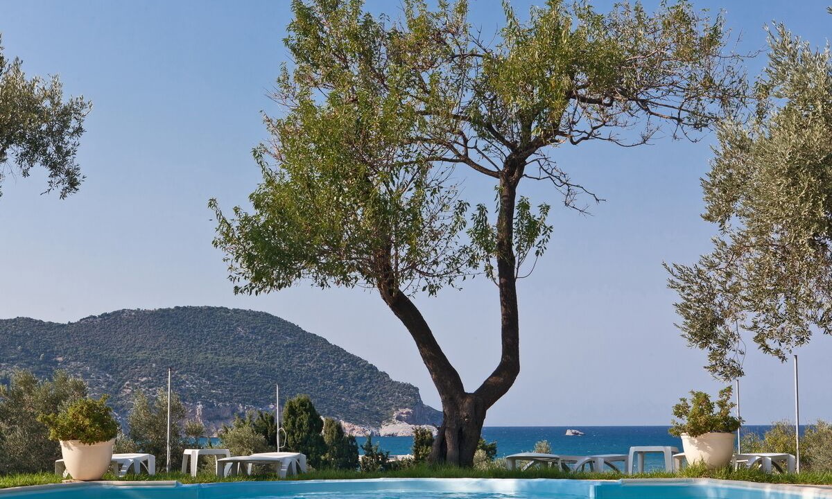 Photo of Outdoor in Skopelos Town