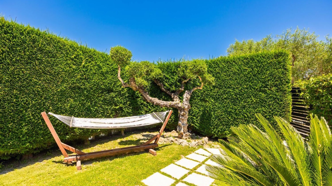 Photo of Outdoor in Planos