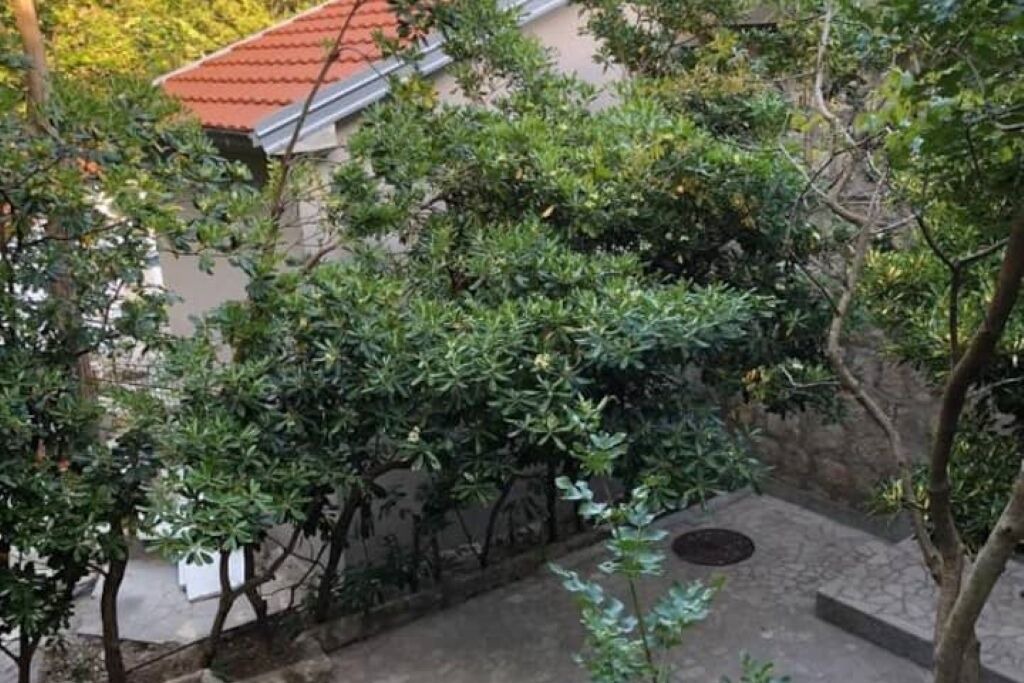 Photo of Outdoor in Rezevici