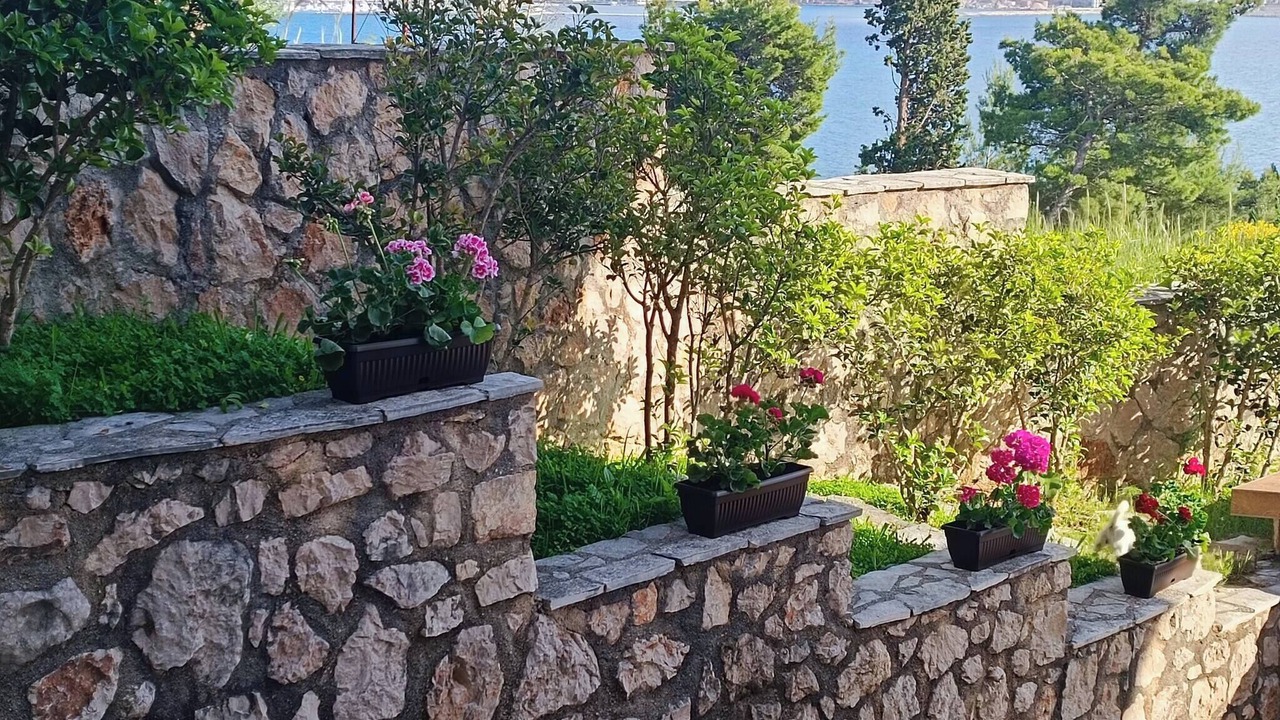 Photo of Outdoor in Susanj