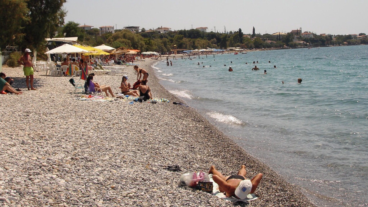 Photo of Others in Diasella