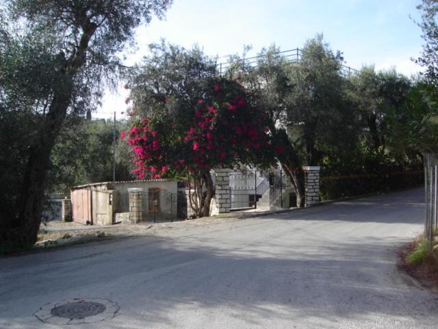 Photo of Others in Vlachopoulatika