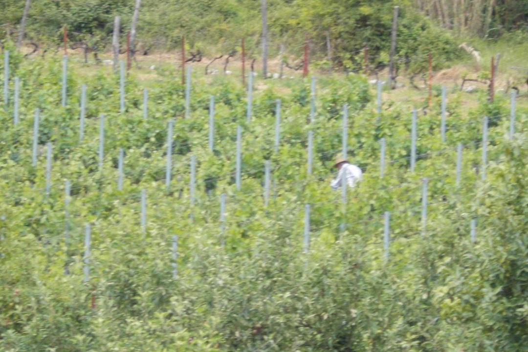 Photo of Others in Karuc