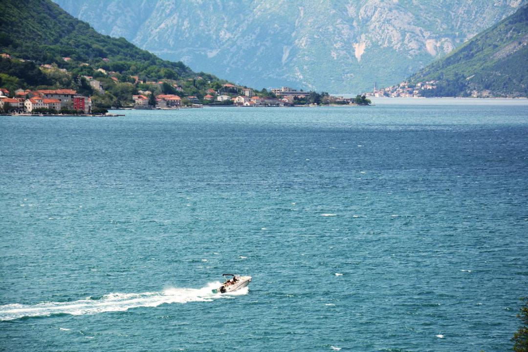 Photo of Others in Dobrota
