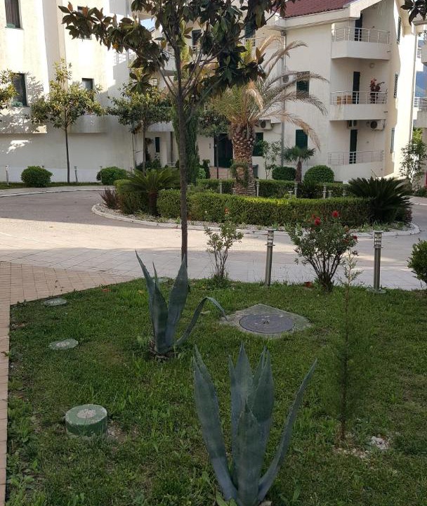 Photo of Others in Risan