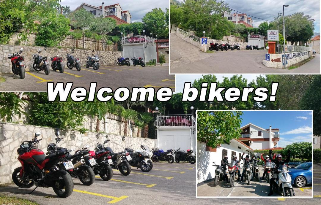 Photo of Others in Kotor