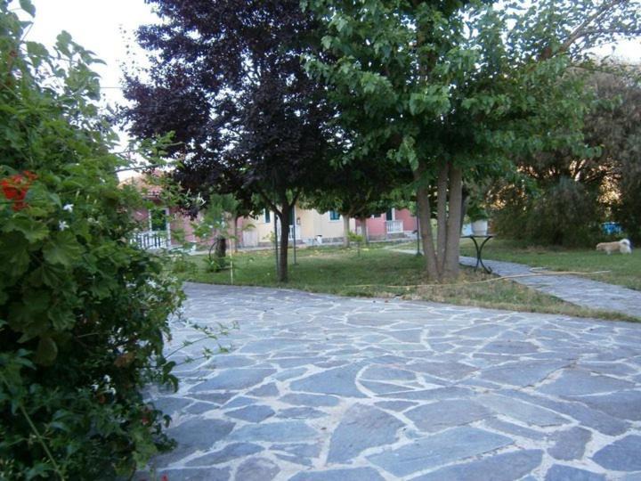 Photo of Others in Agrilia