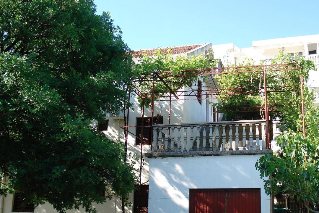 Photo of Others in Sutomore