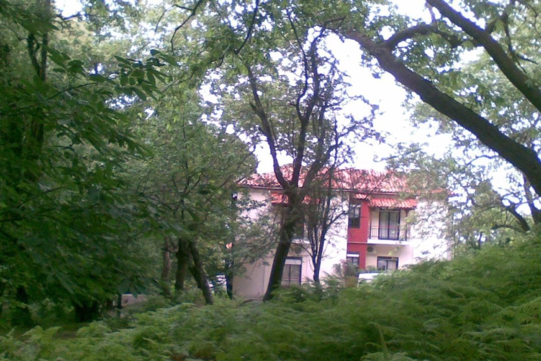 Photo of Others in Therma