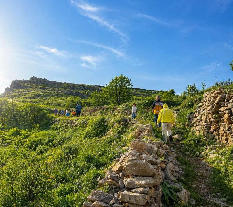 Photo of Others in Milopotamos