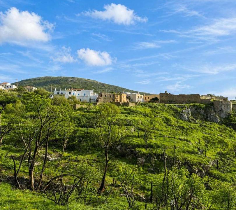 Photo of Others in Milopotamos