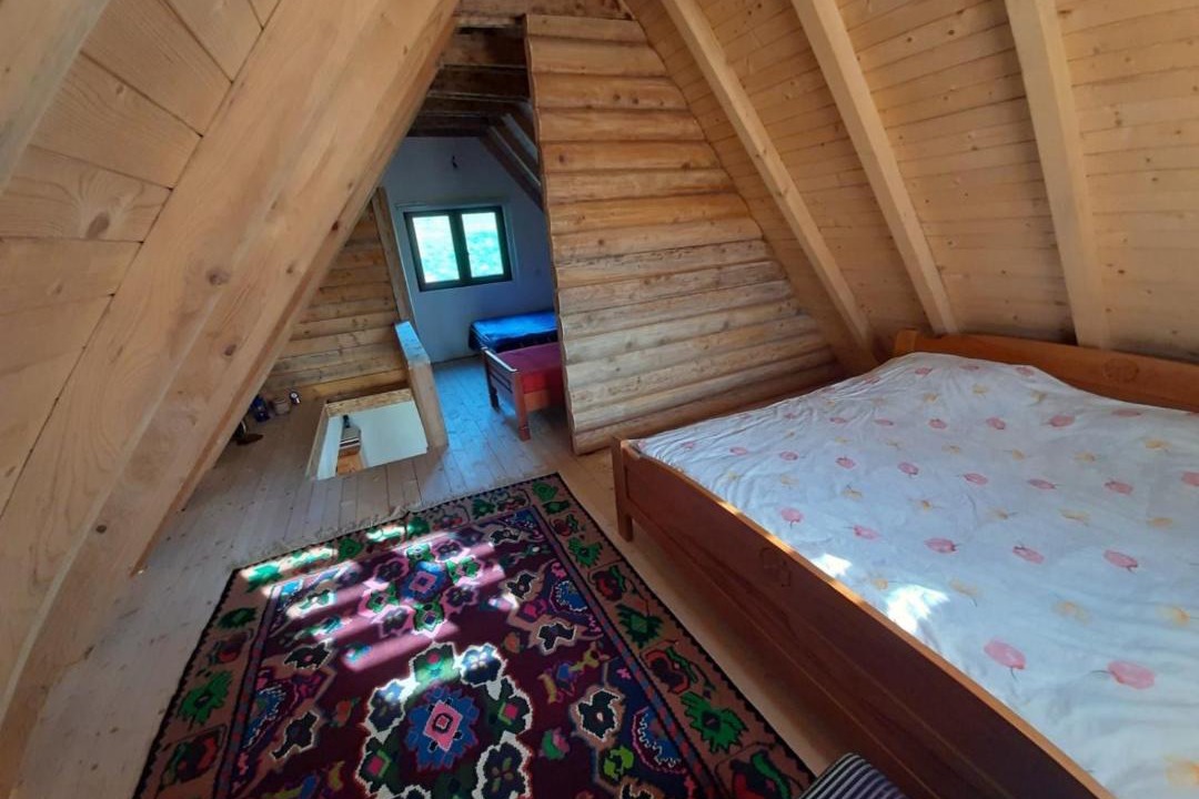 Photo of Others in Montenegro