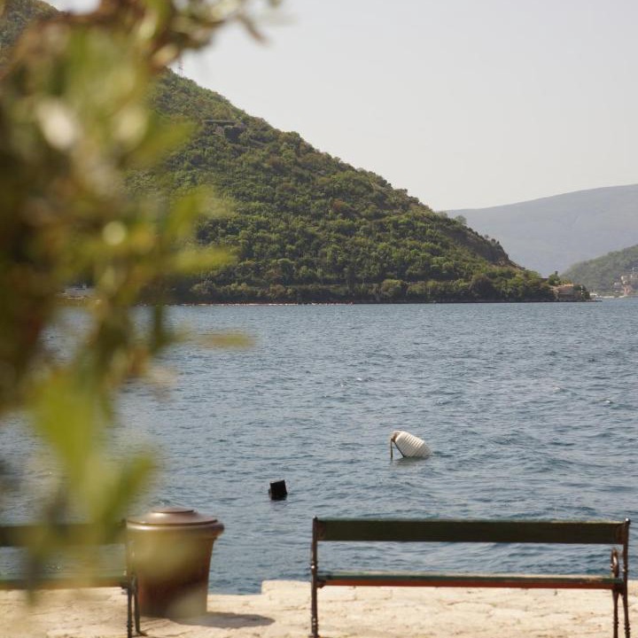 Photo of Others in Perast