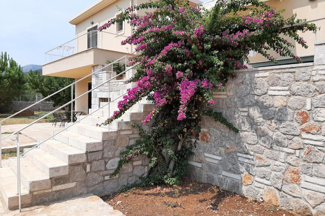 Photo of Others in Melissopetra