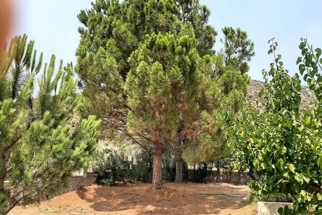 Photo of Outdoor in Melissopetra