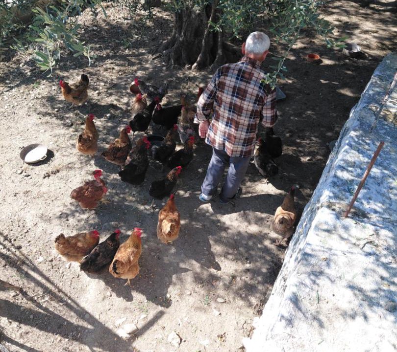Photo of Others in Mesopotam