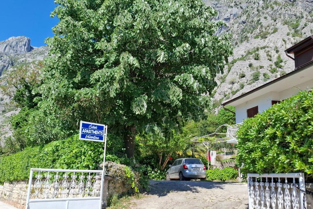 Photo of Others in Ljuta
