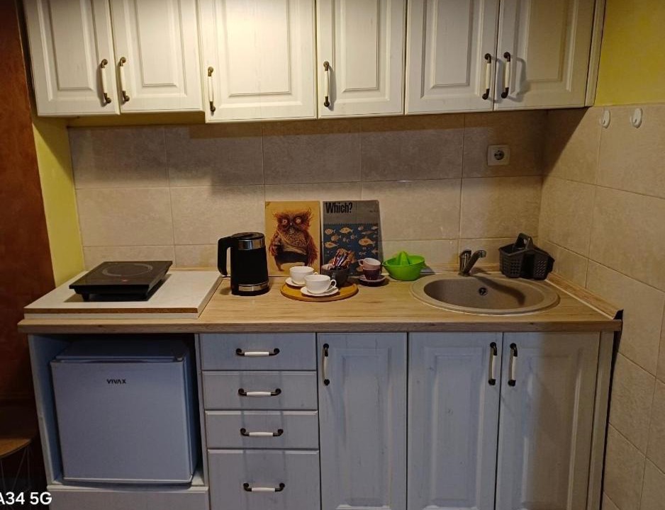 Photo of Kitchen in Virpazar