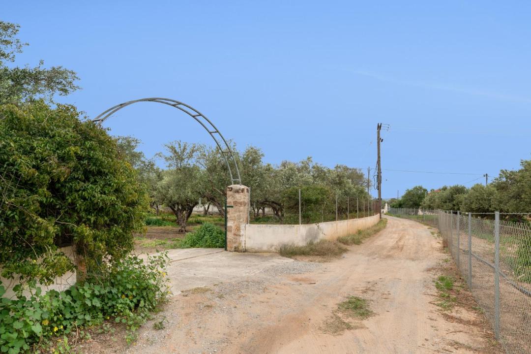 Photo of Others in Voia