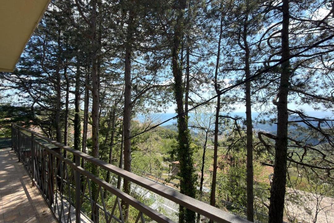 Photo of Others in Lapcici