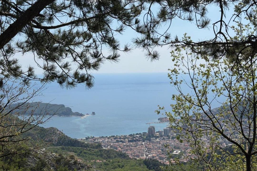 Photo of Others in Lapcici