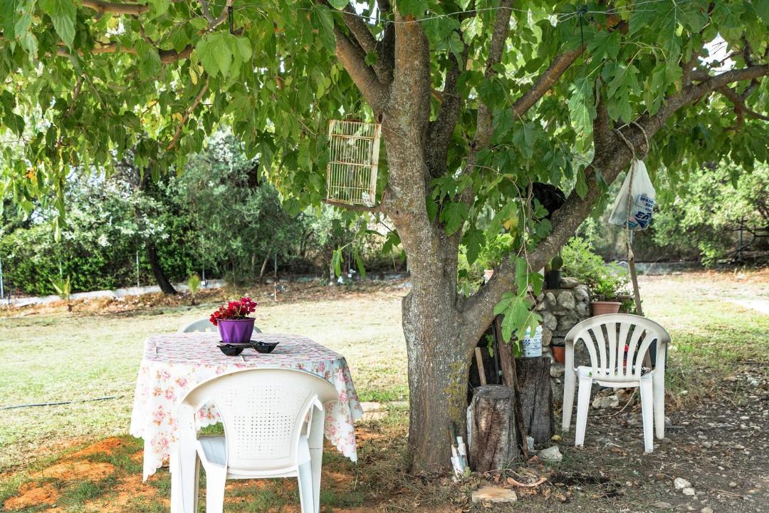 Photo of Others in Kolaitis