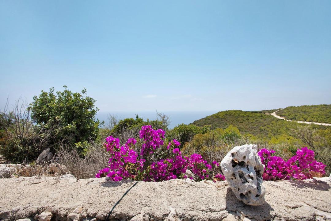 Photo of Others in Agia Marina