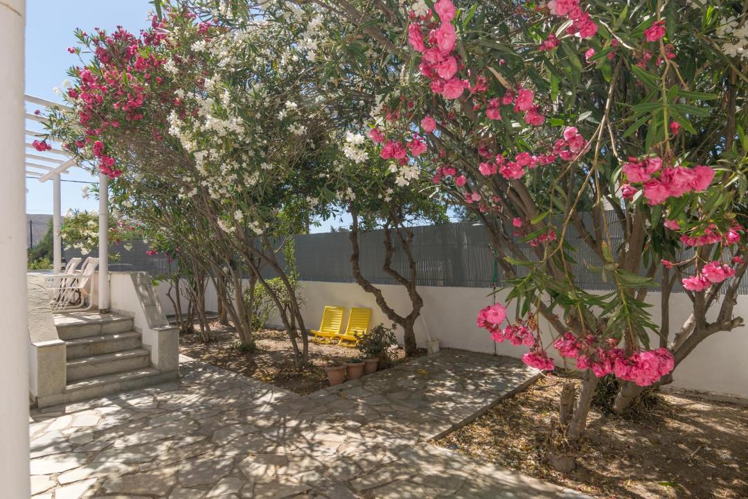 Photo of Others in Apollonia