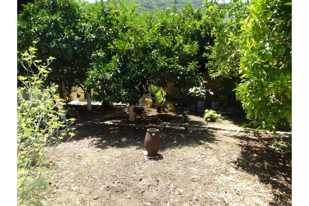 Photo of Others in Poros