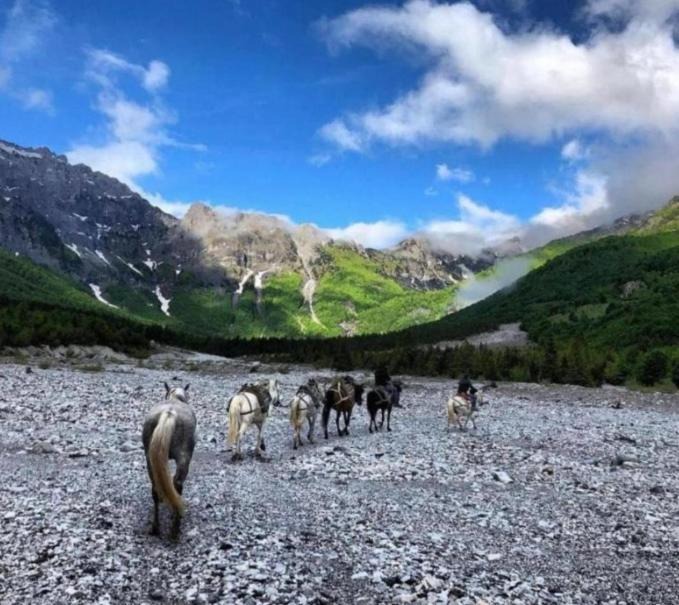 Photo of Others in Kukes County