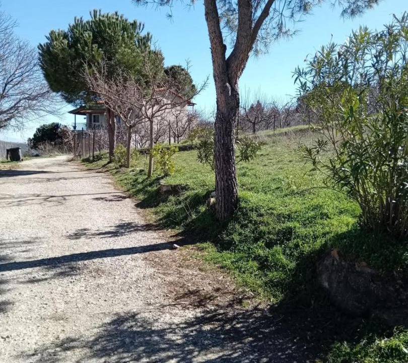 Photo of Outdoor in Aigialeia