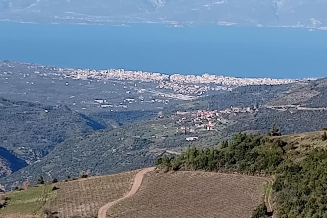 Photo of Others in Aigialeia