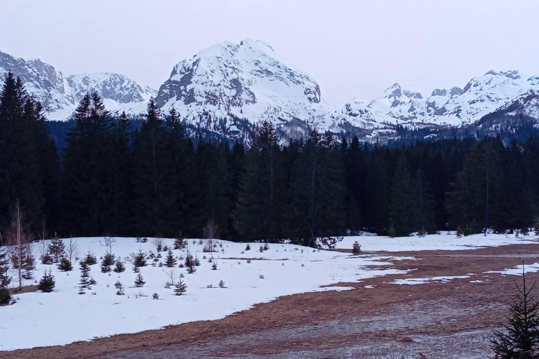 Photo of Others in Zabljak
