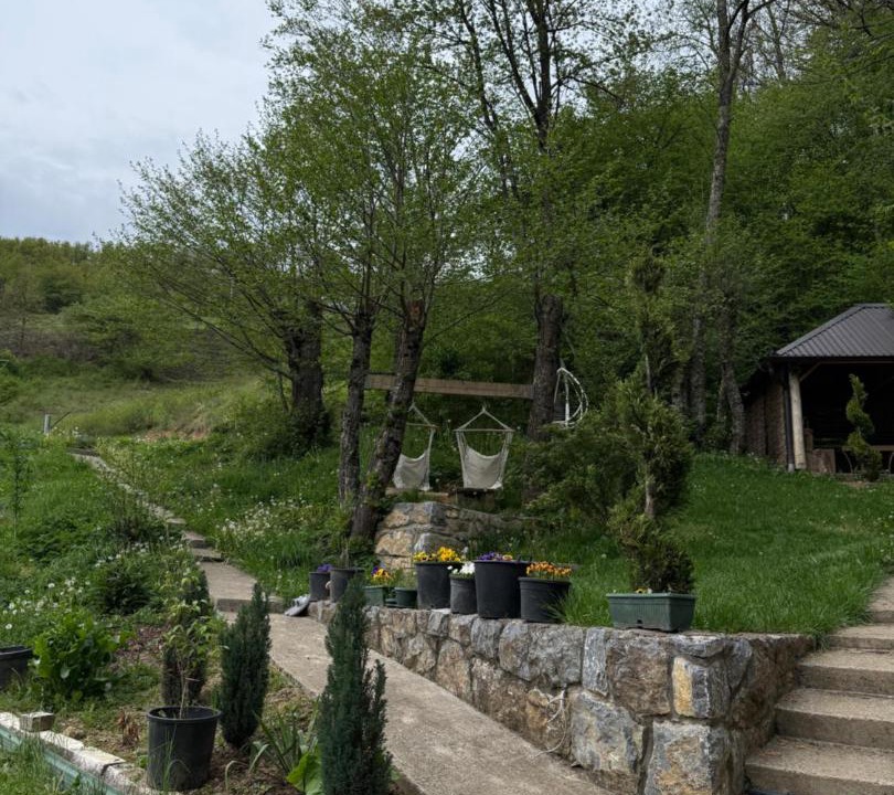 Photo of Others in Montenegro