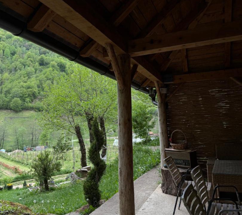 Photo of Others in Montenegro