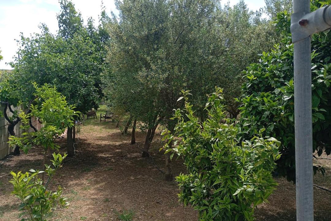 Photo of Others in Lavreotiki