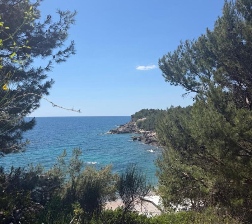 Photo of Others in Sutomore