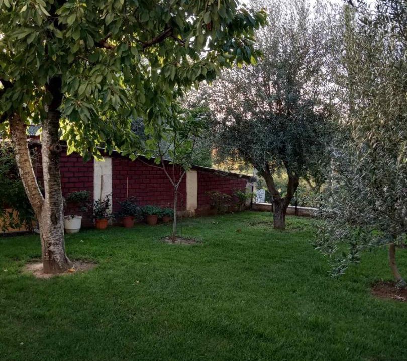 Photo of Others in Trikala