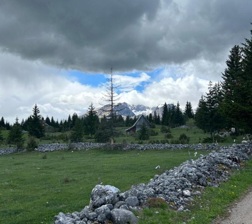 Photo of Others in Zabljak