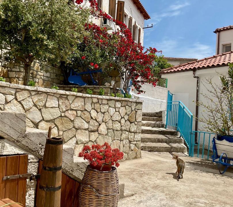 Photo of Others in Dhermi