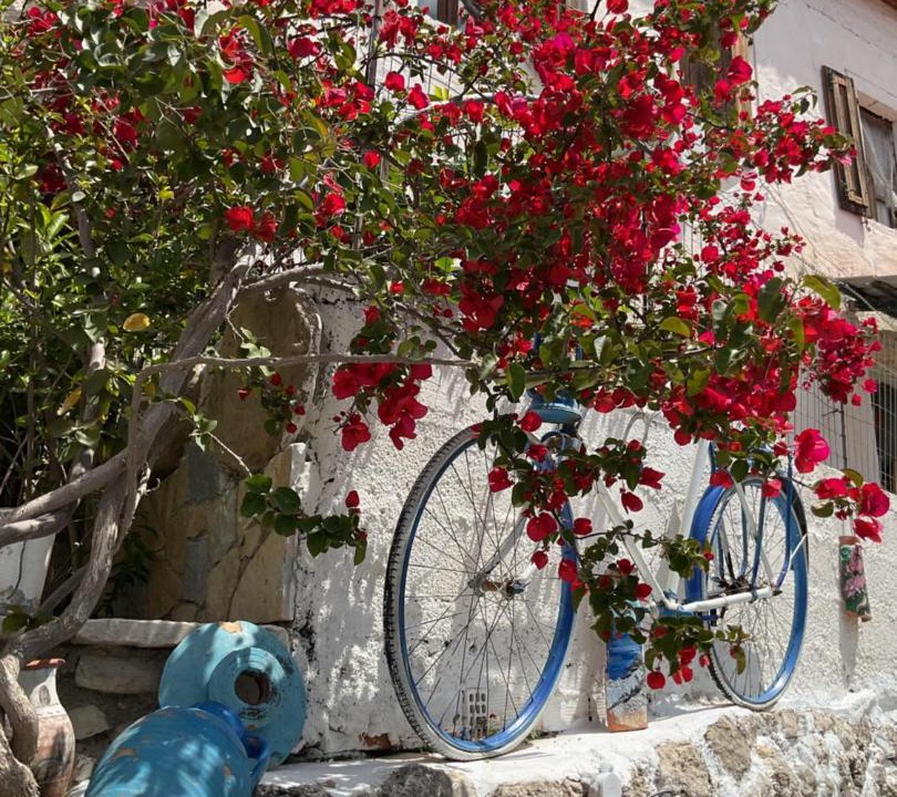 Photo of Others in Dhermi