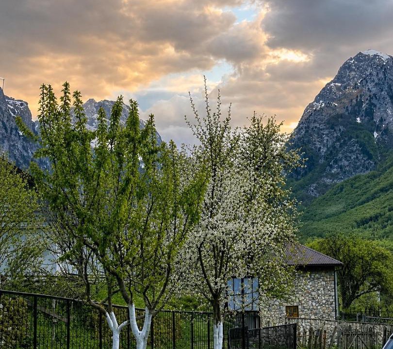 Photo of Others in Vusanje