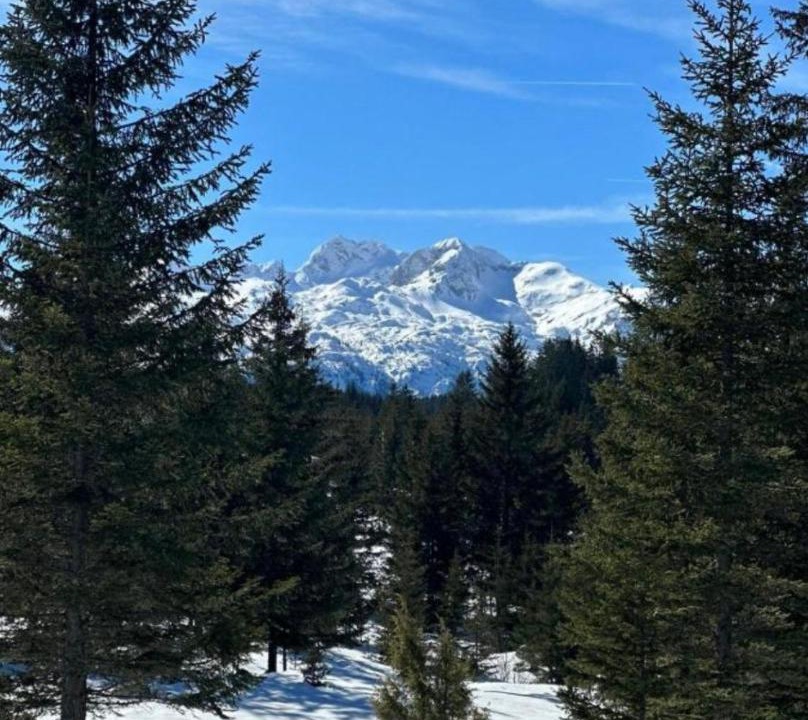Photo of Others in Zabljak