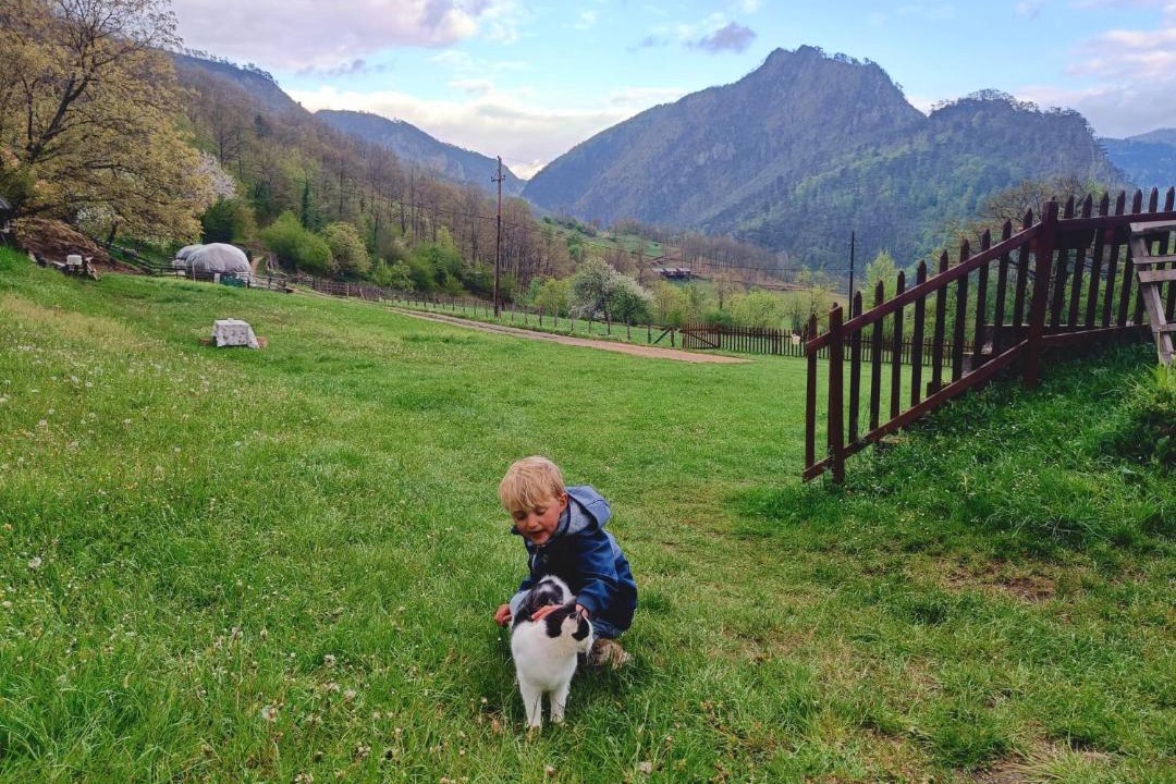 Photo of Others in Montenegro