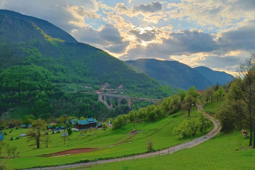 Photo of Others in Montenegro